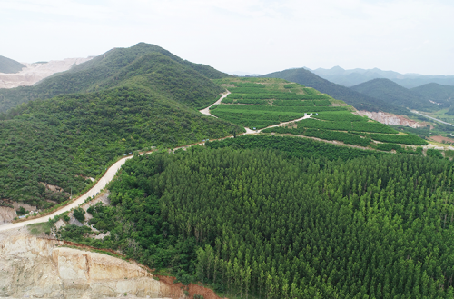 采礦	廠植被恢復區(qū)域